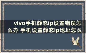 vivo手机静态ip设置错误怎么办 手机设置静态ip地址怎么填写